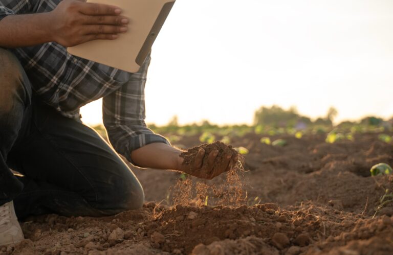Evento gratuito de fertilidade do solo