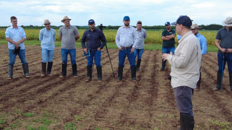 NCA 2026: o treinamento mais completo sobre a cultura do algodão