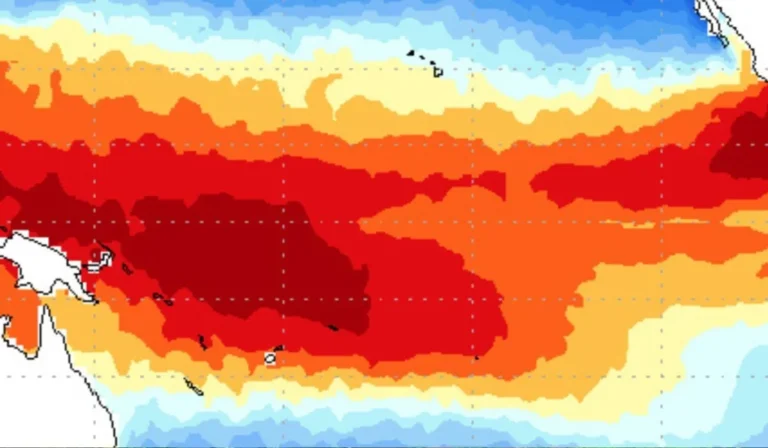 el niño
